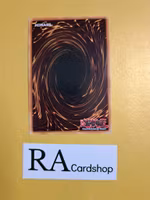 Miracle Synchro Fusion 1st Edition EN111 Ghosts From the Past GFTP Yu-Gi-Oh