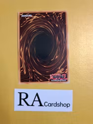 Ojama Country 1st Edition EN110 Ghosts From the Past GFTP Yu-Gi-Oh