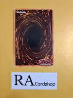 Resonator Call 1st Edition EN115 Ghosts From the Past GFTP Yu-Gi-Oh