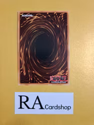 Resonator Call 1st Edition EN115 Ghosts From the Past GFTP Yu-Gi-Oh