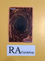 Metalfoes Fusion 1st Edition EN118 Ghosts From the Past GFTP Yu-Gi-Oh