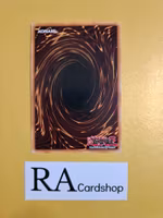 Terror of Trishula 1st Edition EN127 Ghosts From the Past GFTP Yu-Gi-Oh