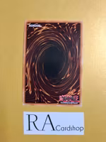 Fallen Sanctuary 1st Edition EN0014 Ghosts From the Past: The 2nd Haunting GFP2 Yu-Gi-Oh