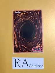 Contract With the Void 1st Edition EN022 Ghosts From the Past: The 2nd Haunting GFP2 Yu-Gi-Oh