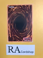 Brute Enforcer 1st Edition EN026 Ghosts From the Past: The 2nd Haunting GFP2 Yu-Gi-Oh