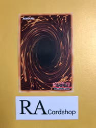 Samsara Dragon 1st Edition EN037 Ghosts From the Past: The 2nd Haunting GFP2 Yu-Gi-Oh