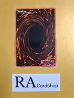 Cocatorium the Heavy Metal Avian 1st Edition EN038 Ghosts From the Past: The 2nd Haunting GFP2 Yu-Gi-Oh