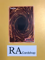 Rookie Warrior Lady 1st Edition EN043 Ghosts From the Past: The 2nd Haunting GFP2 Yu-Gi-Oh