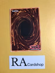 Master Hyperion 1st Edition EN047 Ghosts From the Past: The 2nd Haunting GFP2 Yu-Gi-Oh