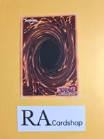 The Agent of Mystery - Earth 1st Edition EN050 Ghosts From the Past: The 2nd Haunting GFP2 Yu-Gi-Oh