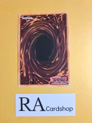 The Agent of Mystery - Earth 1st Edition EN050 Ghosts From the Past: The 2nd Haunting GFP2 Yu-Gi-Oh