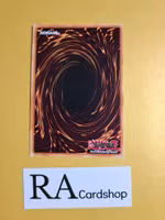 Vision Hero Minimum Ray 1st Edition EN055 Ghosts From the Past: The 2nd Haunting GFP2 Yu-Gi-Oh