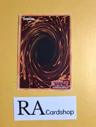 Vision Hero Minimum Ray 1st Edition EN055 Ghosts From the Past: The 2nd Haunting GFP2 Yu-Gi-Oh