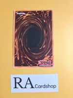 Vision Hero Multiply Guy 1st Edition EN056 Ghosts From the Past: The 2nd Haunting GFP2 Yu-Gi-Oh