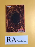 Vision Hero Poisoner 1st Edition EN058 Ghosts From the Past: The 2nd Haunting GFP2 Yu-Gi-Oh