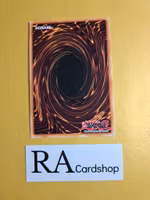 Inzektor Hornet 1st Edition EN062 Ghosts From the Past: The 2nd Haunting GFP2 Yu-Gi-Oh