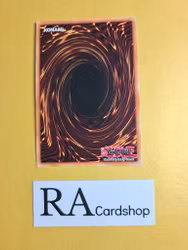 Ghostrick Mary 1st Edition EN068 Ghosts From the Past: The 2nd Haunting GFP2 Yu-Gi-Oh