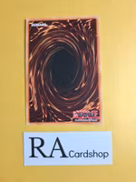 Vampire Sorcerer 1st Edition EN070 Ghosts From the Past: The 2nd Haunting GFP2 Yu-Gi-Oh