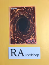 Vampire Sorcerer 1st Edition EN070 Ghosts From the Past: The 2nd Haunting GFP2 Yu-Gi-Oh