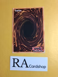 D/D Necro Slime 1st Edition EN075 Ghosts From the Past: The 2nd Haunting GFP2 Yu-Gi-Oh