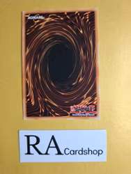 Tenyi Spirit - Ashuna 1st Edition EN088 Ghosts From the Past: The 2nd Haunting GFP2 Yu-Gi-Oh