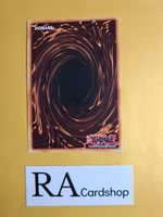 Mecha Phantom Beast Coltwing 1st Edition EN103 Ghosts From the Past: The 2nd Haunting GFP2 Yu-Gi-Oh