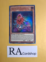 Glow-up Bloom 1st Edition EN115 Ghosts From the Past: The 2nd Haunting GFP2 Yu-Gi-Oh