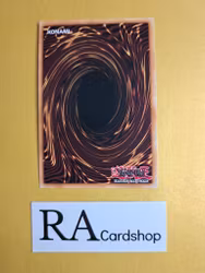 Rare Fish 1st Edition EN118 Ghosts From the Past: The 2nd Haunting GFP2 Yu-Gi-Oh