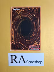 Sanwitch 1st Edition EN122 Ghosts From the Past: The 2nd Haunting GFP2 Yu-Gi-Oh