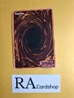 Yazi Evil of the Yang Zing 1st Edition EN131 Ghosts From the Past: The 2nd Haunting GFP2 Yu-Gi-Oh