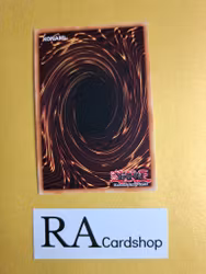 Yazi Evil of the Yang Zing 1st Edition EN131 Ghosts From the Past: The 2nd Haunting GFP2 Yu-Gi-Oh