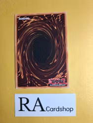 Cupid Pitch 1st Edition EN136 Ghosts From the Past: The 2nd Haunting GFP2 Yu-Gi-Oh