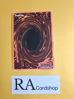 The Sanctuary in the Sky 1st Edition EN151 Ghosts From the Past: The 2nd Haunting GFP2 Yu-Gi-Oh