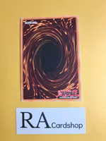 Advanced Ritual Art 1st Edition EN153 Ghosts From the Past: The 2nd Haunting GFP2 Yu-Gi-Oh