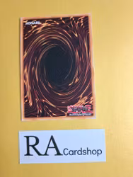 Yang Zing Prana 1st Edition EN158 Ghosts From the Past: The 2nd Haunting GFP2 Yu-Gi-Oh