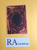 Yang Zing Brutality 1st Edition EN169 Ghosts From the Past: The 2nd Haunting GFP2 Yu-Gi-Oh