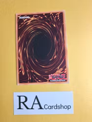 Yang Zing Brutality 1st Edition EN169 Ghosts From the Past: The 2nd Haunting GFP2 Yu-Gi-Oh