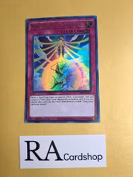 Nine Pillars of Yang Zing 1st Edition EN171 Ghosts From the Past: The 2nd Haunting GFP2 Yu-Gi-Oh