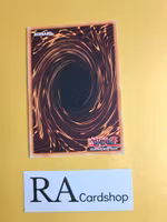 Vampire Domination 1st Edition EN172 Ghosts From the Past: The 2nd Haunting GFP2 Yu-Gi-Oh