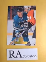 Ray Whitney 93-94 Leaf Donruss #448