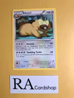 Bibarel Uncommon 107/124 Dragons Exalted Pokemon