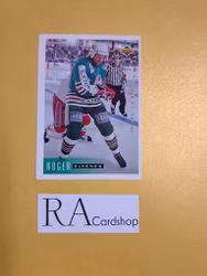 Roger Elvenes 95-96 Upper Deck Swedish #179