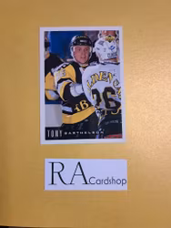 Tony Barthelson 95-96 Upper Deck Swedish #6