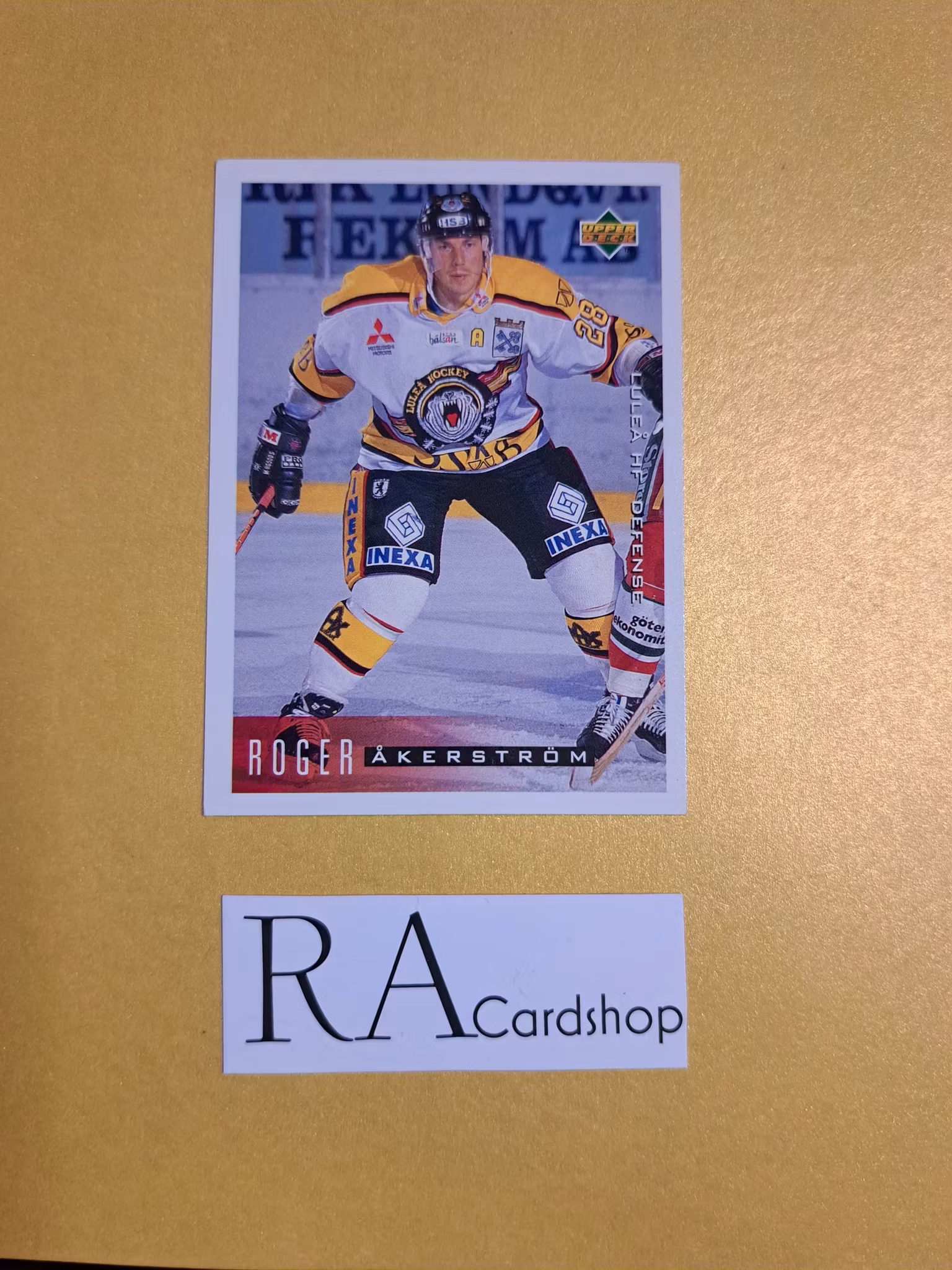 Roger Åkerström (1) 95-96 Upper Deck Swedish #120