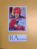 Brian McReynolds 95-96 Upper Deck Swedish #147