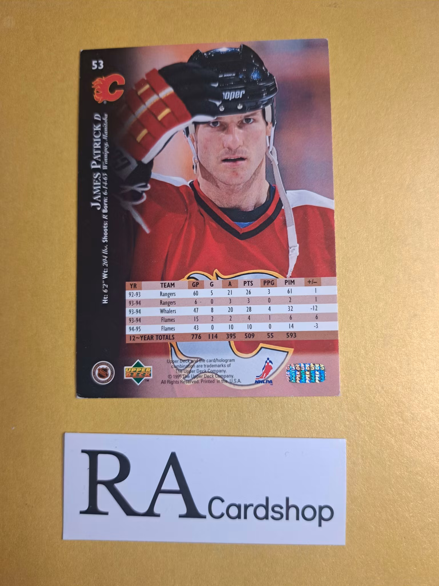 James Patrick 94-95 Upper Deck Hockey  #53 NHL Hockey