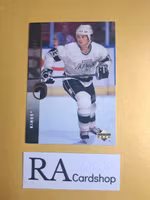 Robert Lang (2) 94-95 Upper Deck #175 NHL Hockey