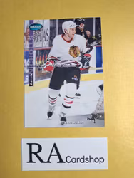 Bernie Nicholls 93-94 Parkhurst SE #SE38 NHL Hockey