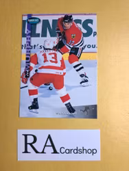 Joe Murphy 94-95 Parkhurst #44 NHL Hockey