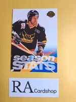 Season Stats Västerås IK 95-96 Leaf #125 SHL Hockey